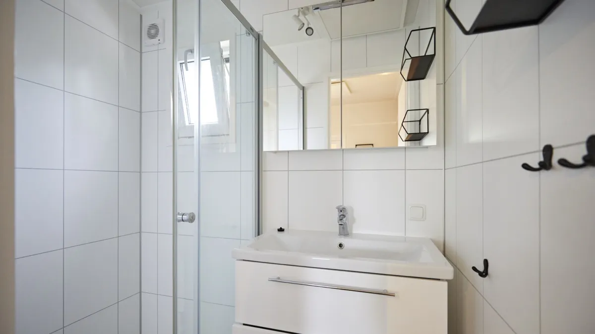 Ter Spegelt Chalet badkamer HR