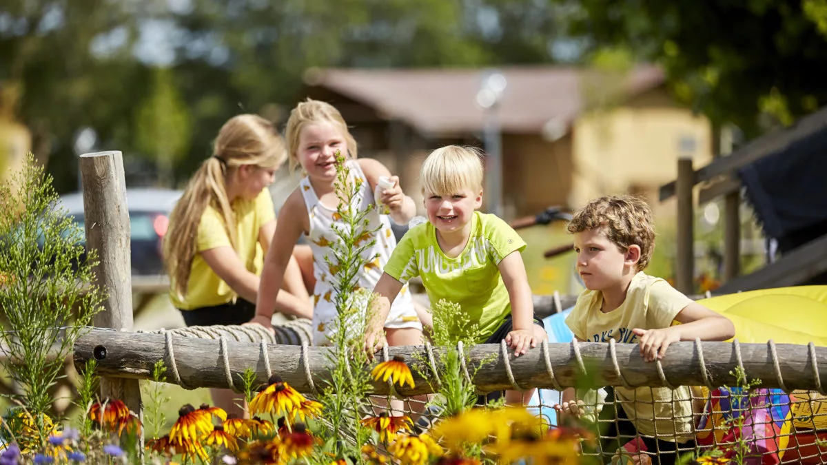 Ter Spegelt Glamping Lodge kinderen hangnet HR