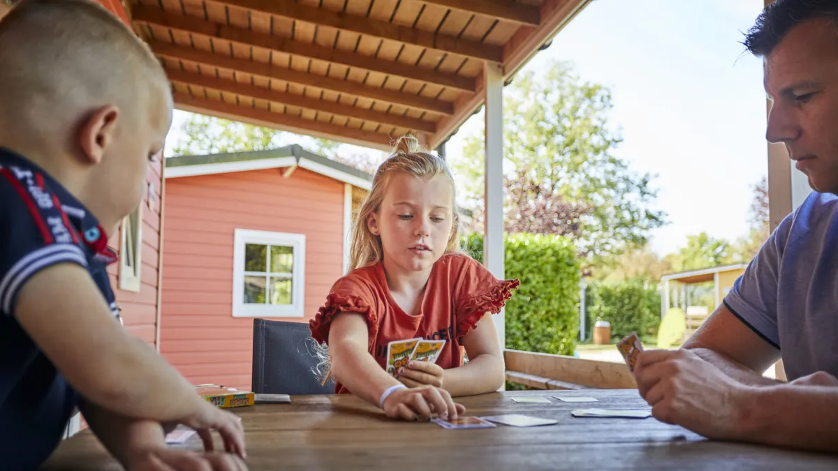 Ter Spegelt kaartspel Verandachalet HR