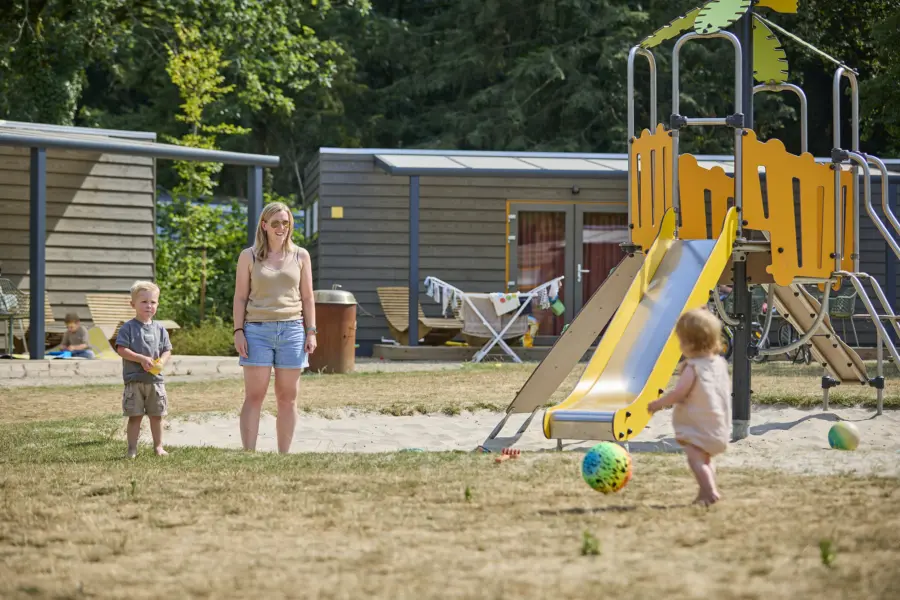 Ter Spegelt Chalet veld44 gezin speeltuin LR
