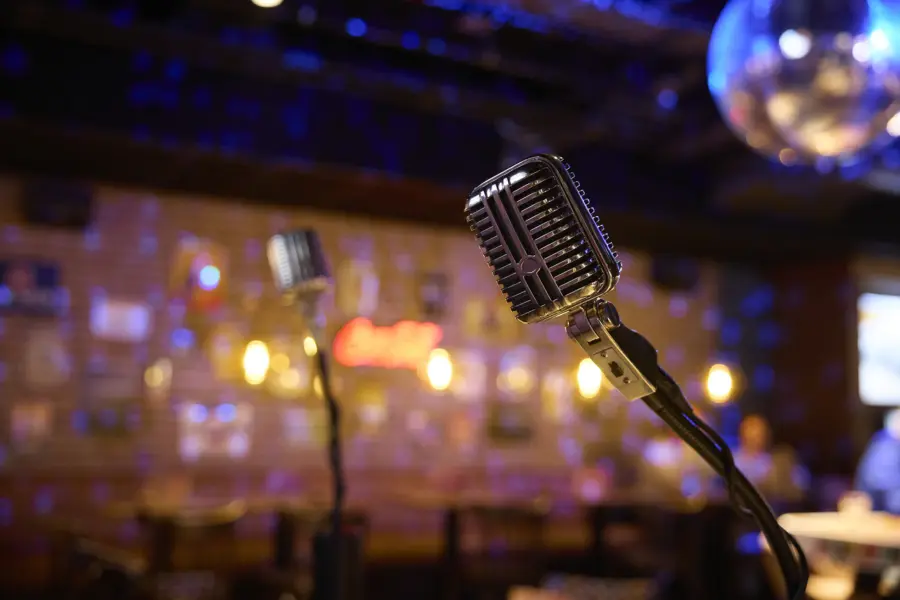 Bowling Pub karaoke microfoon MR