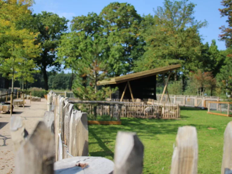 Kinderboerderij 2017 14