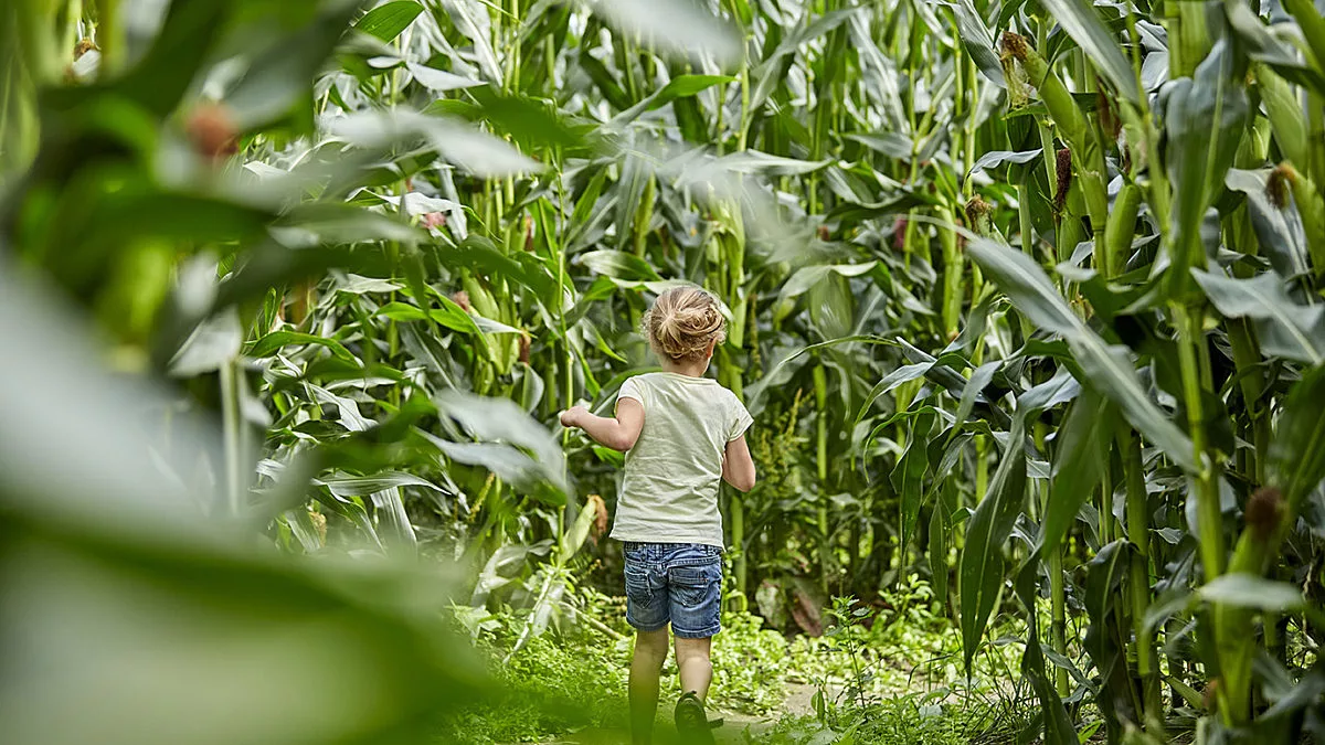 Ter Spegelt maisdoolhof meisje LR