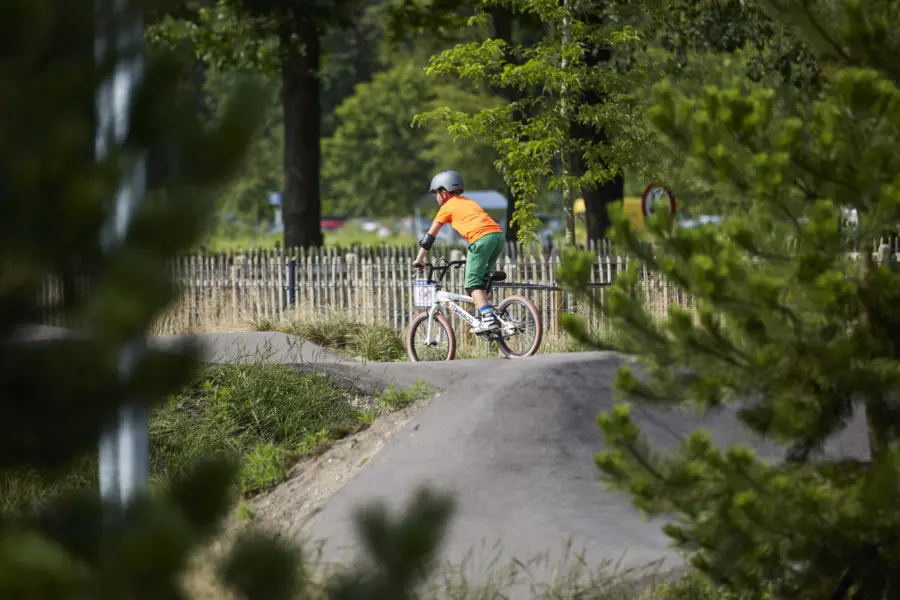 Pump Track tussen bomen