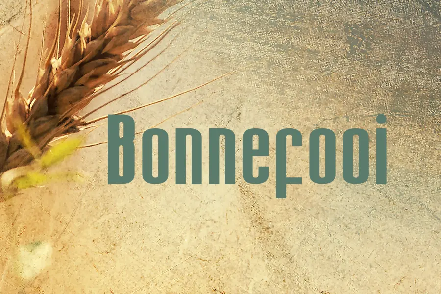 Huiskamer De Bonne Fooi Recreatiepark Ter Spegelt