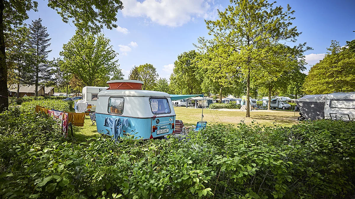 Camperauto basisveld