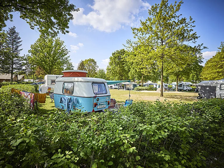 Camperauto basisveld LR