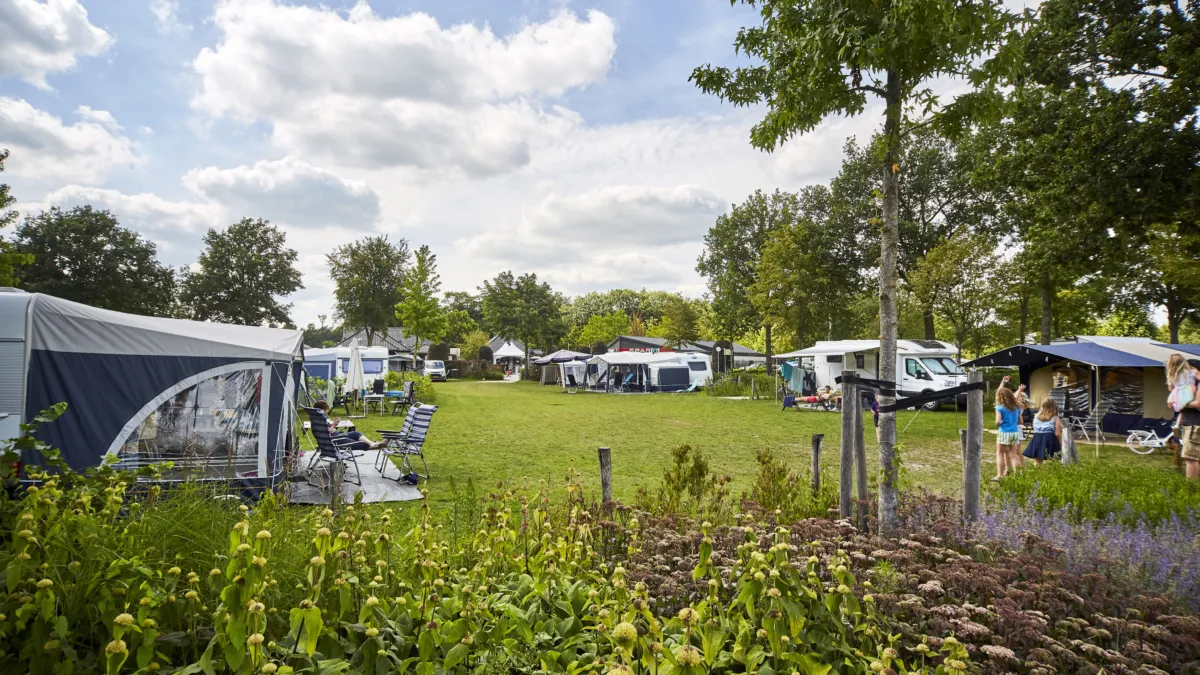 Ter Spegelt Comfort Kampeerplaats veld 35 HR