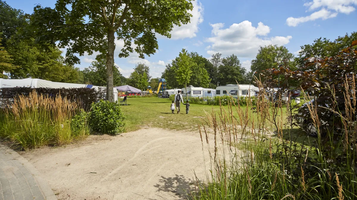 Ter Spegelt Comfort Kampeerplaats veld 35 HR 2