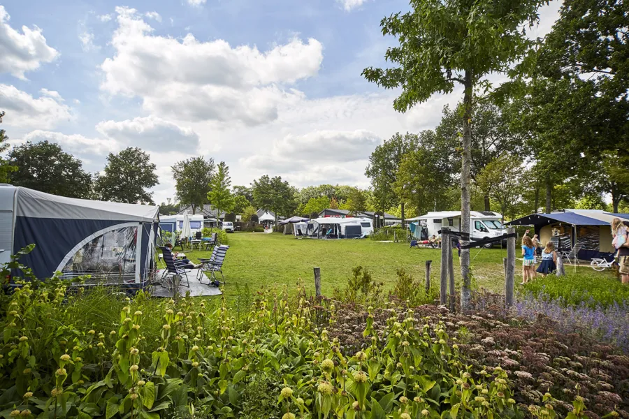 Ter Spegelt Comfort Kampeerplaats veld 35 LR 2