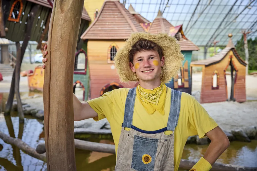 Ter Spegelt Sterren Sterren Strand Hendrik HR