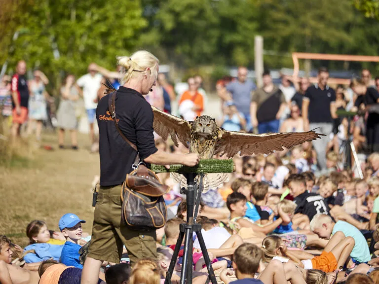 20220816 Ter Spegelt Roofvogel Show HR 3